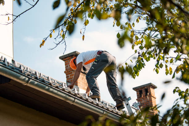 Best Roof Ventilation Installation  in Braddock, VA