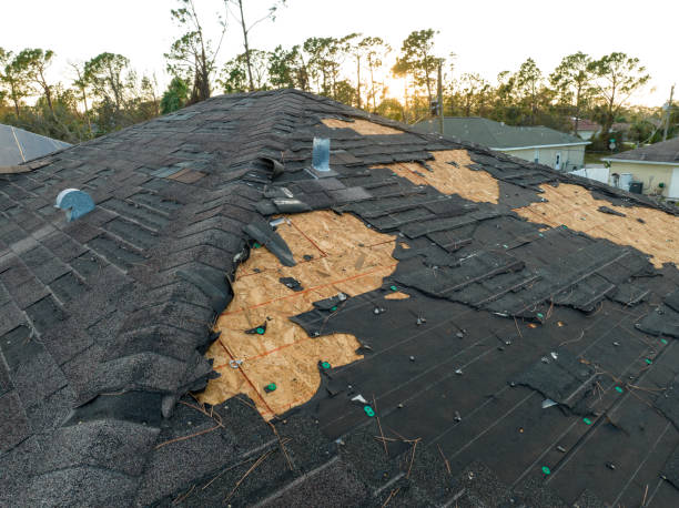 Best Roof Installation  in Braddock, VA