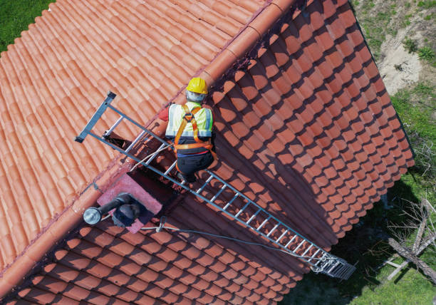 Professional Roofing Services in Braddock, VA