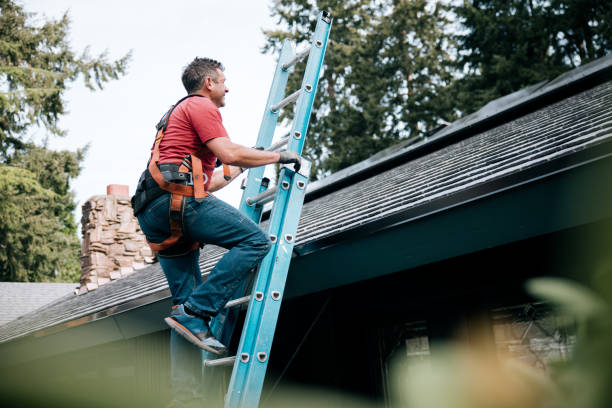 Best Metal Roofing Installation  in Braddock, VA
