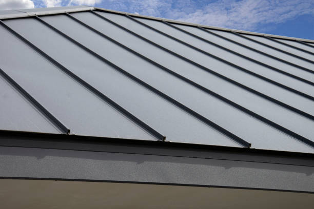 Best Roof Replacement  in Braddock, VA