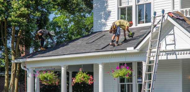 Best Roof Moss and Algae Removal  in Braddock, VA